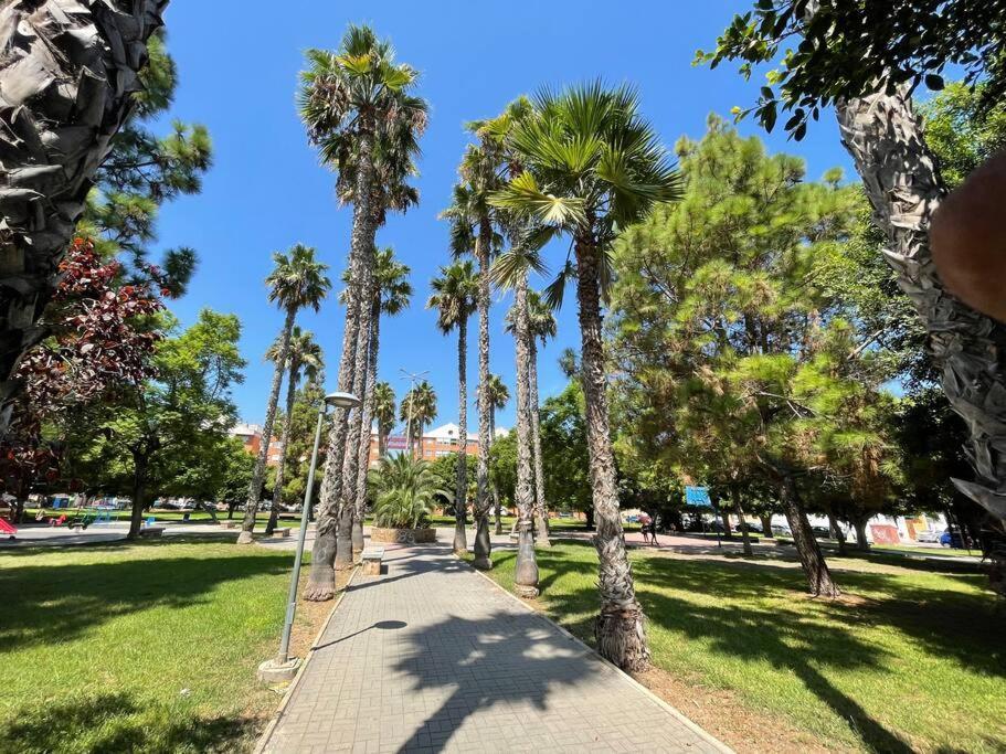 托雷维耶哈Sol Y Playa Costa Blanca公寓 外观 照片